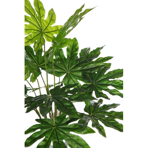 PLANTA ARALIA ARTIFICIAL 2