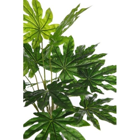 PLANTA ARALIA ARTIFICIAL