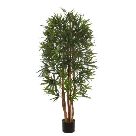 PLANTA ARALIA ARTIFICIAL 160CM
