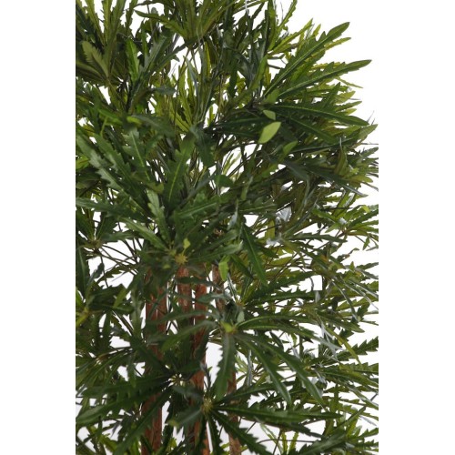 PLANTA ARALIA ARTIFICIAL 160CM 2
