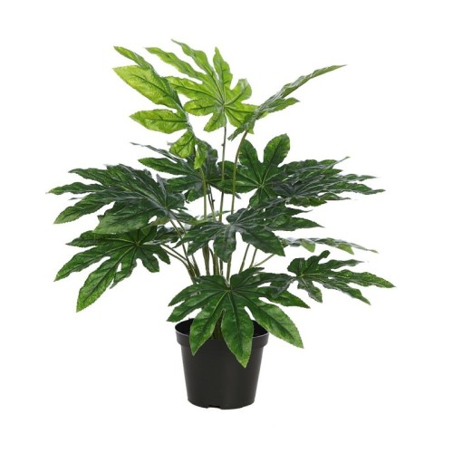 PLANTA ARALIA ARTIFICIAL CON MACETA