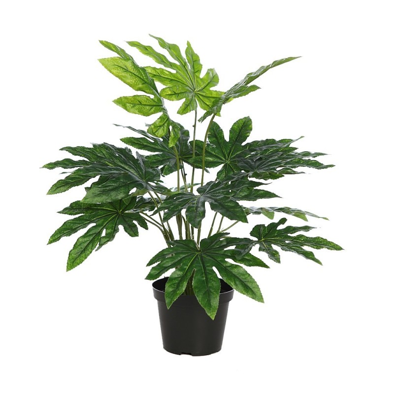 PLANTA ARALIA ARTIFICIAL CON MACETA