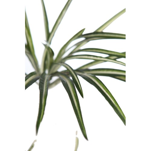 PLANTA CINTA CLOROFITO ARTIFICIAL 35CM 2