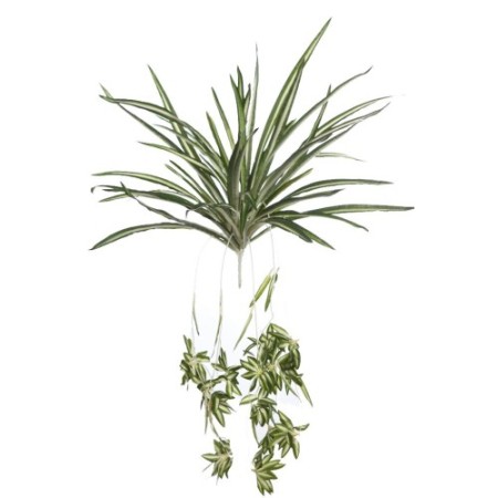 PLANTA CINTA CLOROFITO ARTIFICIAL 40CM