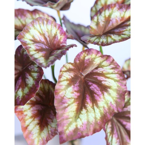 PLANTA COLEO ARTIFICIAL 25CM 2