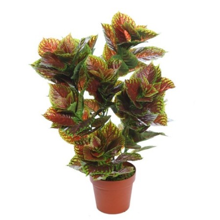 PLANTA COLEO ARTIFICIAL 70CM