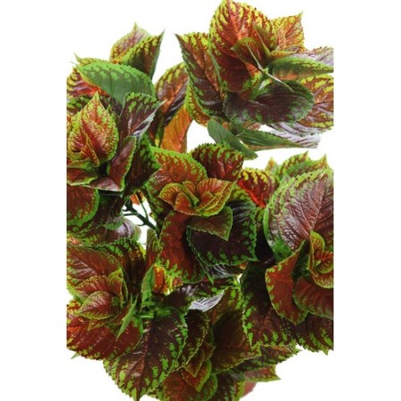 PLANTA COLEO ARTIFICIAL 70CM