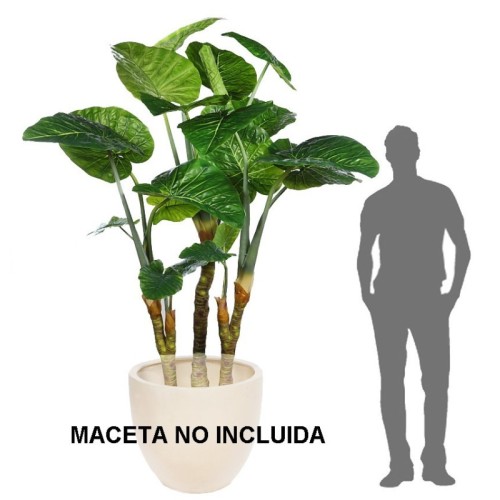PLANTA COLOCASIA TARO ARTFICIAL 220CM 2