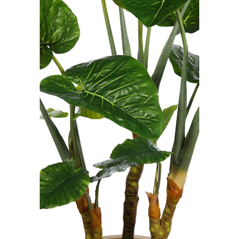 PLANTA COLOCASIA TARO ARTFICIAL 220CM