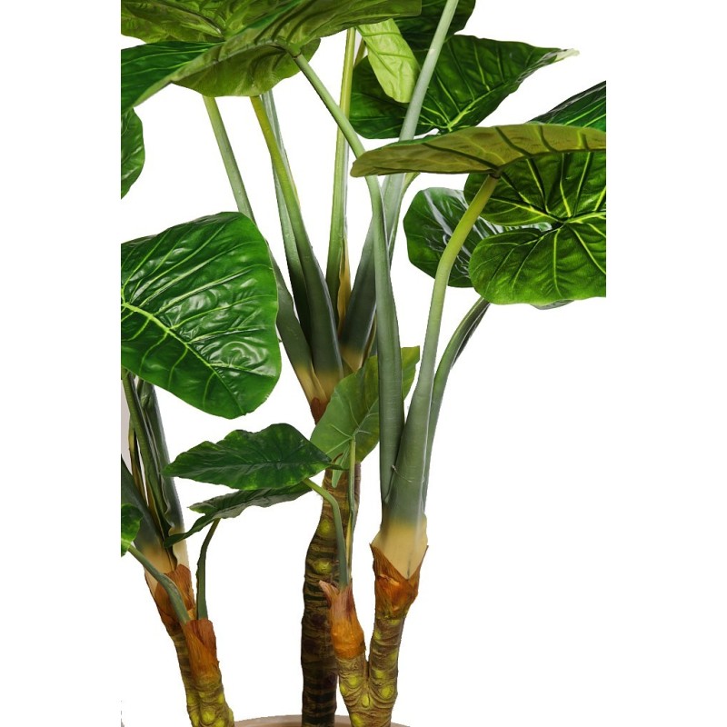 PLANTA COLOCASIA TARO ARTFICIAL 220CM