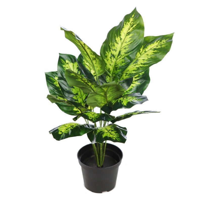 PLANTA CON MACETA DIEFFENBACHIA 40CM