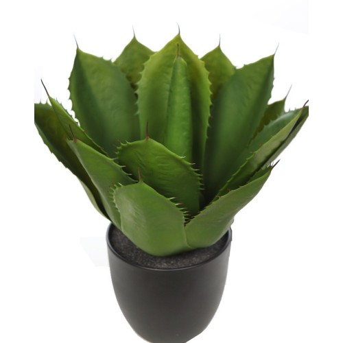 PLANTA CRASA ARTIFICIAL EN MACETA 45CM 2