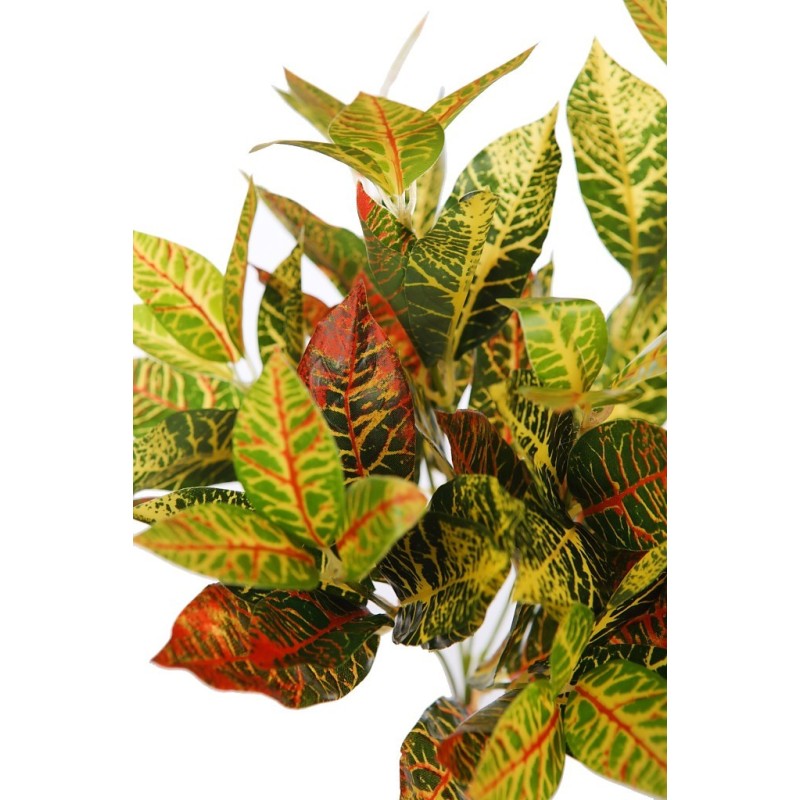 PLANTA CROTON 34 CM