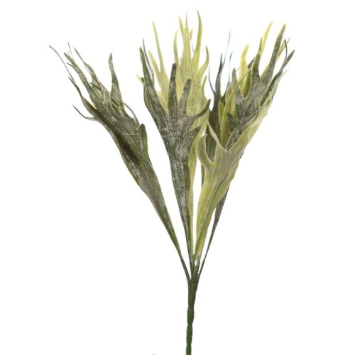 PLANTA CUERNO DE ALCE 40
CM