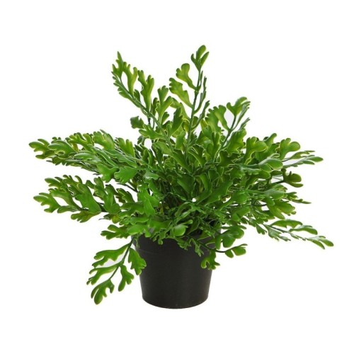 PLANTA CUERNO DE ARCE ARTIFICIAL EN MACETA