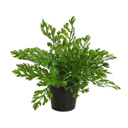 PLANTA CUERNO DE ARCE ARTIFICIAL EN MACETA