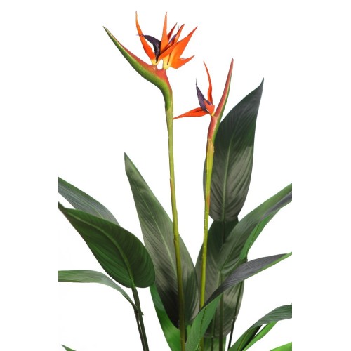 PLANTA DE ESTERLICIA ARTIFICIAL 135CM 2