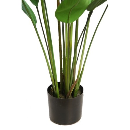 PLANTA DE ESTERLICIA ARTIFICIAL 135CM