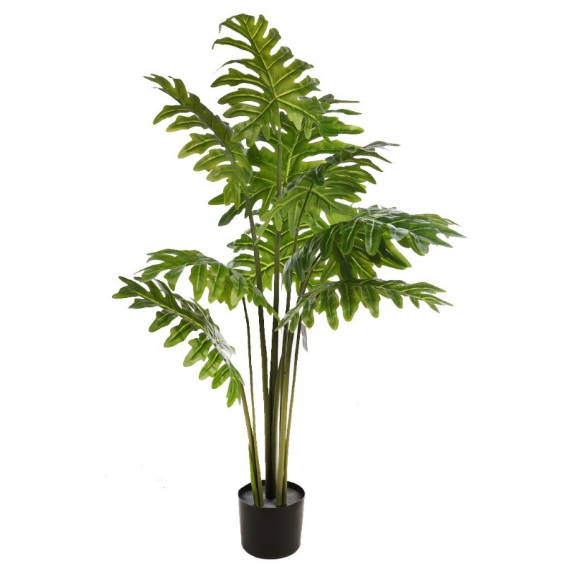 PLANTA DE MONSTERA DELICIOSA 120CM