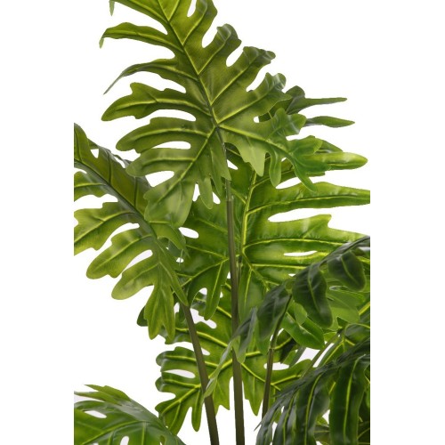 PLANTA DE MONSTERA DELICIOSA 120CM 2