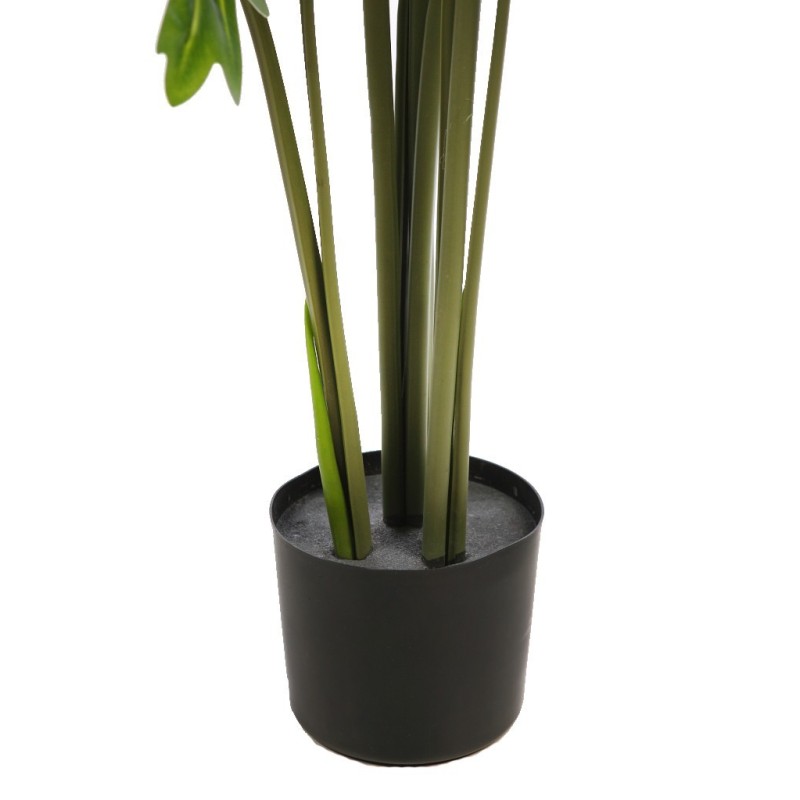 PLANTA DE MONSTERA DELICIOSA 120CM