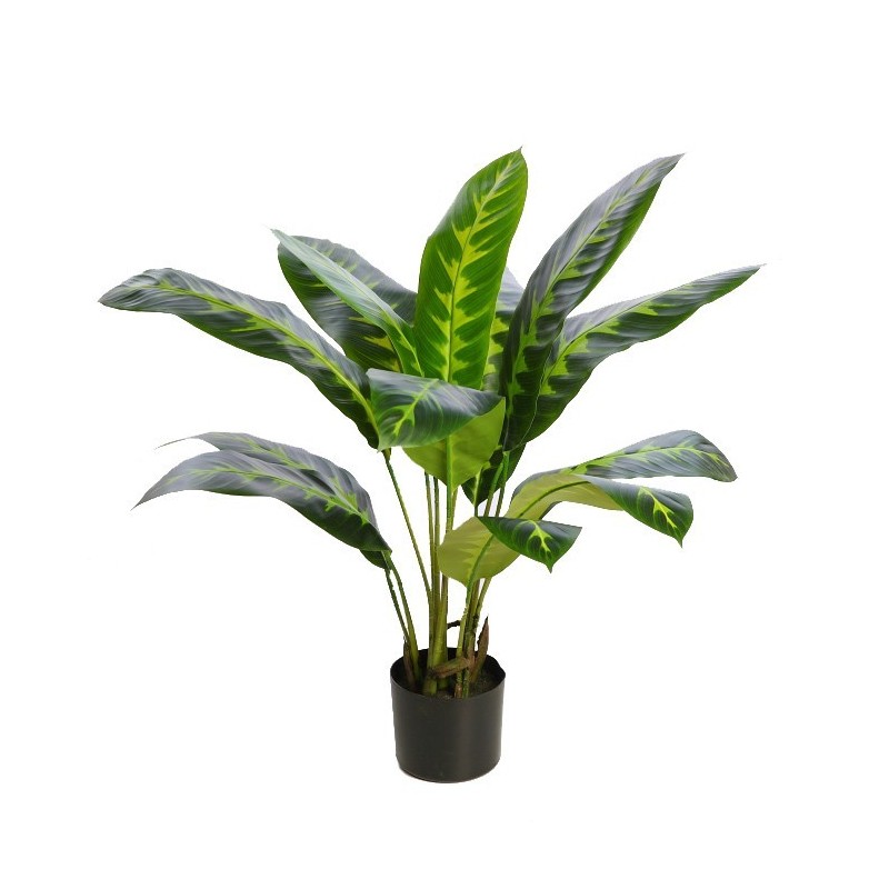 PLANTA DIFEMBACHIA ARTIFICIAL 70CM