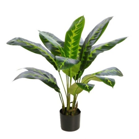 PLANTA DIFEMBACHIA ARTIFICIAL 70CM