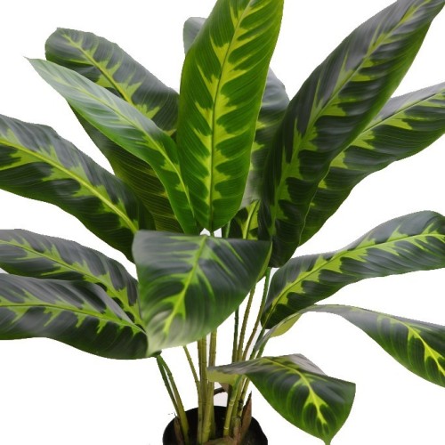 PLANTA DIFEMBACHIA ARTIFICIAL 70CM 2