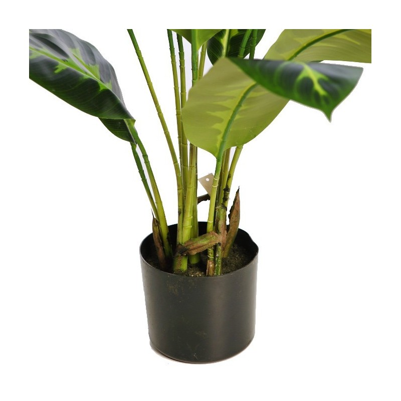 PLANTA DIFEMBACHIA ARTIFICIAL 70CM