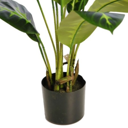 PLANTA DIFEMBACHIA ARTIFICIAL 70CM