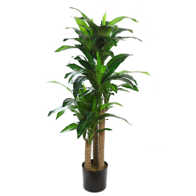 PLANTA DRACENA ARTIFICIAL 140CM