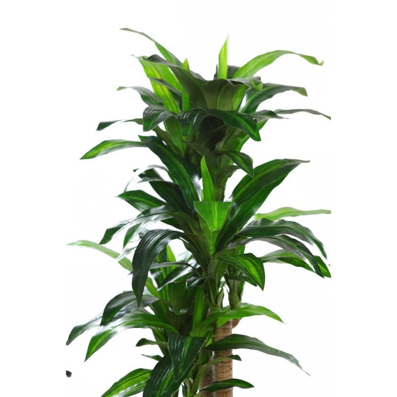 PLANTA DRACENA ARTIFICIAL 140CM