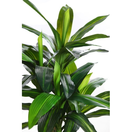 PLANTA DRACENA ARTIFICIAL 90CM 2