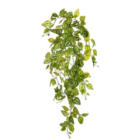 PLANTA FITONIA ARTIFICIAL 90CM