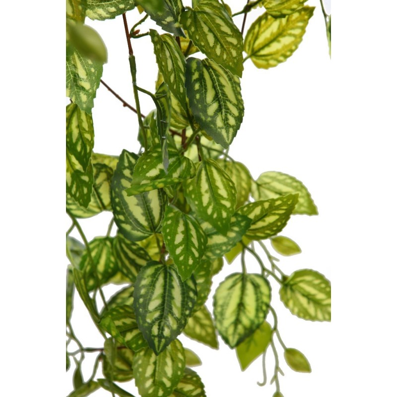 PLANTA FITONIA ARTIFICIAL 90CM