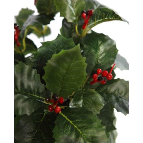 PLANTA MUERDAGO VERDE MACETA 2