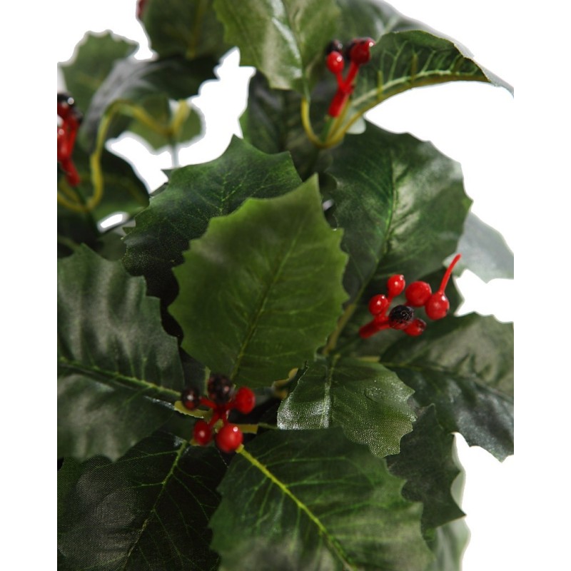 PLANTA MUERDAGO VERDE MACETA