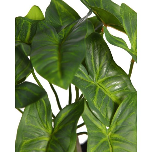 PLANTA SINGONIO ARTIFICIAL 25CM 2