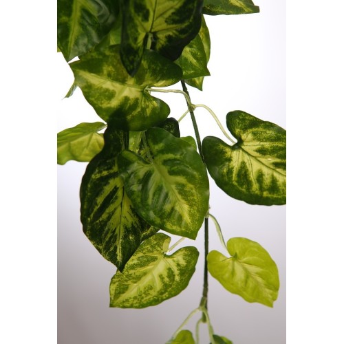 PLANTA SINGONIO COLGANTE 50CM 2