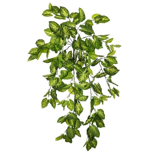 PLANTA SINGONIO COLGANTE 70CM