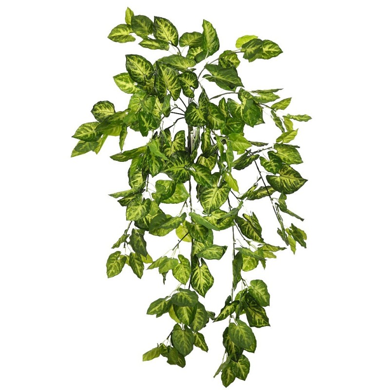 PLANTA SINGONIO COLGANTE 70CM