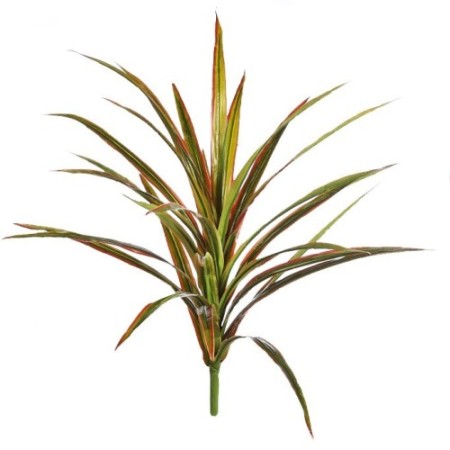 PLANTA YUCCA 68CM