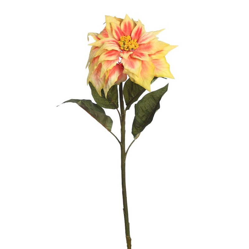 PONSETIA GDE TALLO 60CM