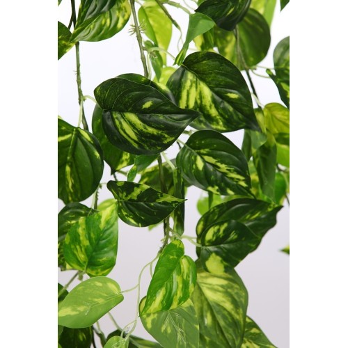 POTHO COLGANTE ARTIFICIAL 100CM 2