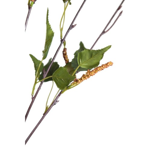 RAMAJE BIRCH 93 CM 2