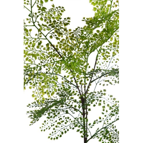 RAMAJE DICHONDRIA ARTIFICIAL 100CM 2
