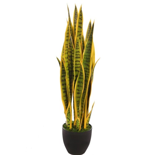 SANSEVIERIA CACTUS CON MACETA 85CM