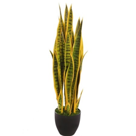 SANSEVIERIA CACTUS CON MACETA 85CM