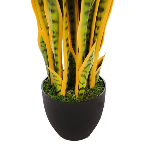 SANSEVIERIA CACTUS CON MACETA 85CM 2