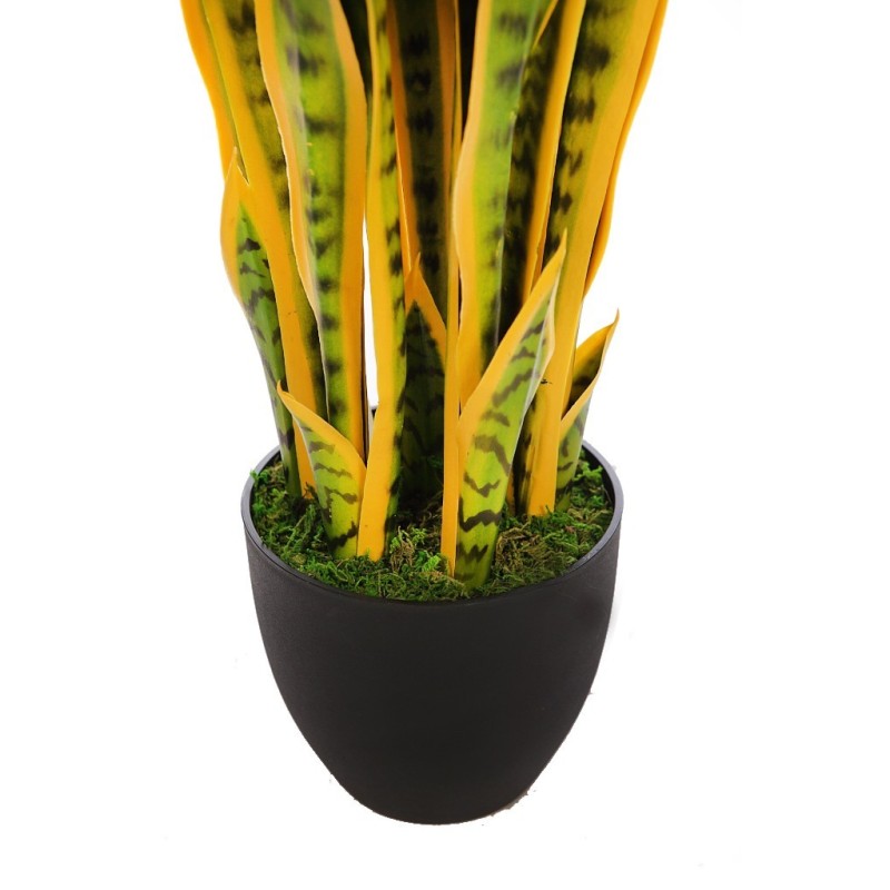 SANSEVIERIA CACTUS CON MACETA 85CM
